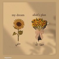 TikTok Account - https://p16-amd-va.tiktokcdn.com/tos-maliva-avt-0068/59f7908820ab86057c0a04ec4e6e49b9~tplv-tiktokx-cropcenter:200:200.jpeg