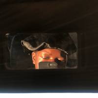 TikTok Account Photo