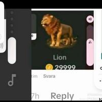 TikTok Account Photo