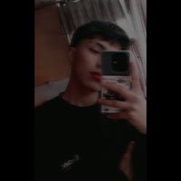 leiz_av