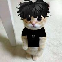 notrealkevi
