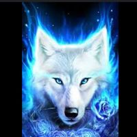 TikTok Account Photo