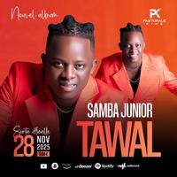 original sound - sambajunior14