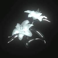 TikTok Account - https://p16-amd-va.tiktokcdn.com/tos-maliva-avt-0068/5dab10cbb55b1cede28a56d7c4cf6fb7~tplv-tiktokx-cropcenter-q:200:200:q70.jpg