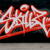 skillz438