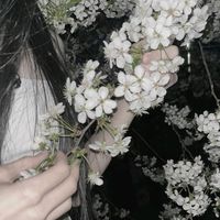 TikTok Account - https://p16-amd-va.tiktokcdn.com/tos-maliva-avt-0068/5fc9f5611da587a839a0cb665b29322d~tplv-tiktokx-cropcenter:200:200.jpeg