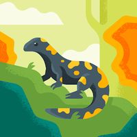 TikTok Account - https://p16-amd-va.tiktokcdn.com/tos-maliva-avt-0068/611ebf85220021146d3d8f6fe60ec70a~tplv-tiktokx-cropcenter:200:200.jpeg