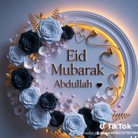 TikTok Account Photo