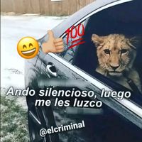 6555555tuttobennee