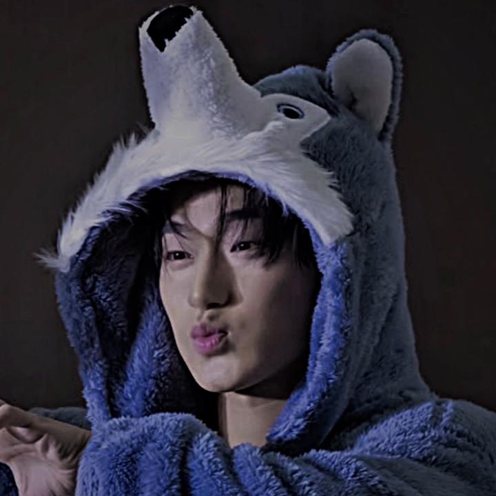 lexx.wolf