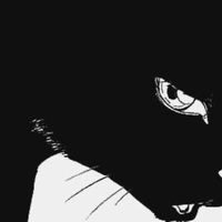 TikTok Account - https://p16-amd-va.tiktokcdn.com/tos-maliva-avt-0068/655f559a99b36550d31b2c99a8766669~tplv-tiktokx-cropcenter:200:200.jpeg