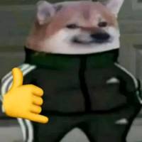 dhareey1