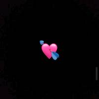 TikTok Account Photo