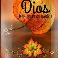 dioseslasalvacio