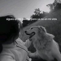 TikTok Account - https://p16-amd-va.tiktokcdn.com/tos-maliva-avt-0068/67949700ce2ca25f0d01c0dbe09270f0~tplv-tiktokx-cropcenter:200:200.jpeg