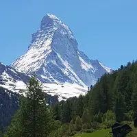 TikTok Account Photo