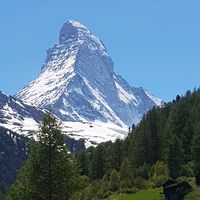 TikTok Account Photo