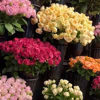 original sound