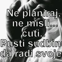 TikTok Account - https://p16-amd-va.tiktokcdn.com/tos-maliva-avt-0068/68944485bf0ae265cb02e569a1e210e5~tplv-tiktokx-cropcenter:200:200.jpeg