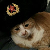 TikTok Account - https://p16-amd-va.tiktokcdn.com/tos-maliva-avt-0068/69184b160e861b23f82a5c3d62d753ab~tplv-tiktokx-cropcenter:200:200.jpeg