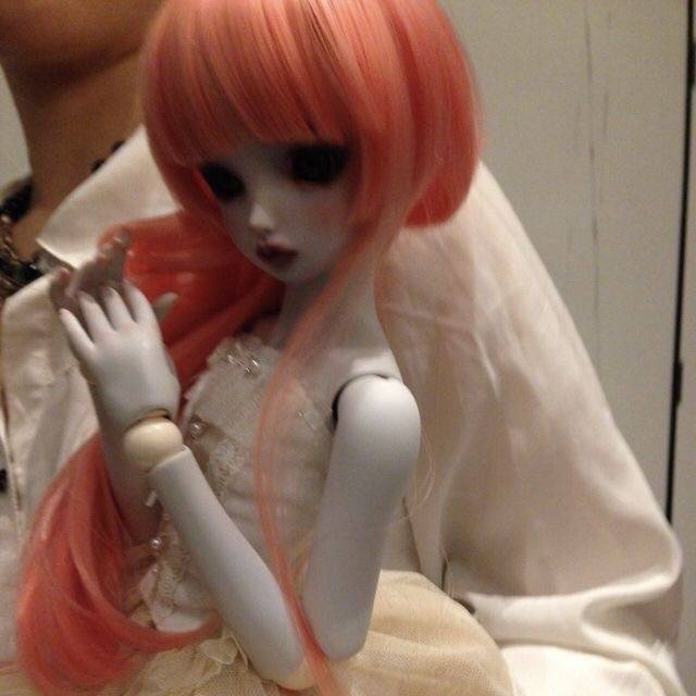 evangeline - MIRROR MAPLE BEE