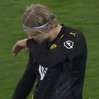 TikTok Account - https://p16-amd-va.tiktokcdn.com/tos-maliva-avt-0068/699e8137ceaaebe875f7f248b6af7501~tplv-tiktokx-cropcenter:200:200.jpeg