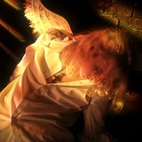 TikTok Account - https://p16-amd-va.tiktokcdn.com/tos-maliva-avt-0068/6a9391ee110834fcff3e5898a0ce5d83~tplv-tiktokx-cropcenter:200:200.jpeg