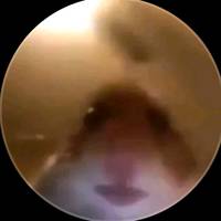 TikTok Account Photo