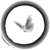 Sound image