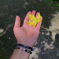 TikTok Account - https://p16-amd-va.tiktokcdn.com/tos-maliva-avt-0068/6c2bc8d0b2bfbe511e248a9bb33fb152~tplv-tiktokx-cropcenter:200:200.jpeg