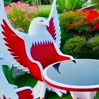 TikTok Account Photo