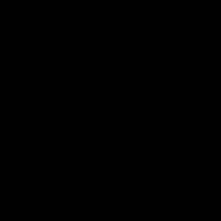 noizyillyrian
