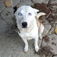 TikTok Account - https://p16-amd-va.tiktokcdn.com/tos-maliva-avt-0068/6ec049e7984eef22df44363a382737e3~tplv-tiktokx-cropcenter:200:200.jpeg