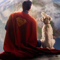 superman_fitness88
