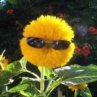 TikTok Account - friendlyreminderbyronni