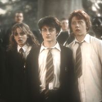 _harry_potter_x