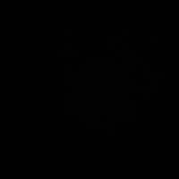 original sound - momolelongsheney