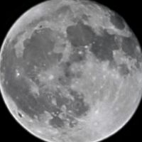 TikTok Account - https://p16-amd-va.tiktokcdn.com/tos-maliva-avt-0068/70fcacfd977f8584157f10d6e06fdcb8~tplv-tiktokx-cropcenter:200:200.jpeg