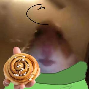 Cutsie Cbb Stop And Join The Hamster Cult Tiktok Profile Cutsie Cbb Stop And Join The Hamster Cult Tiktok Profile