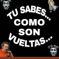 peladito.lobo.kev