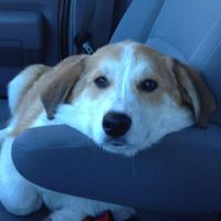 nadarra_games