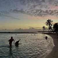 TikTok Account - https://p16-amd-va.tiktokcdn.com/tos-maliva-avt-0068/72acc76c4f74a1fe8946fe0d57555ac1~tplv-tiktokx-cropcenter:200:200.jpeg