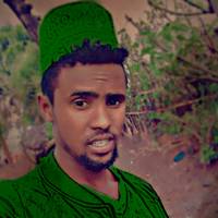 TikTok Account Photo