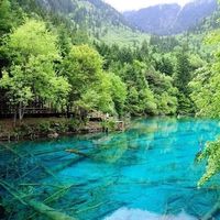 TikTok Account - https://p16-amd-va.tiktokcdn.com/tos-maliva-avt-0068/7310080642081882155~tplv-tiktokx-cropcenter:200:200.jpeg