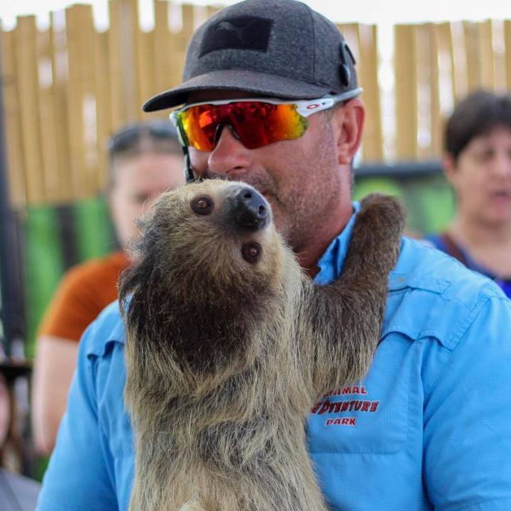 animaledventures