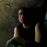 lion_772825
