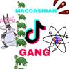 M A C C A S H I A N - @maccash.gang - TikTok