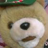my teddy - @summergoddard2 - TikTok