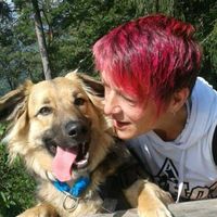 TikTok Account - https://p16-amd-va.tiktokcdn.com/tos-maliva-avt-0068/7321721812700626949~tplv-tiktokx-cropcenter:200:200.jpeg