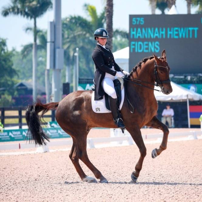 hannahdressage